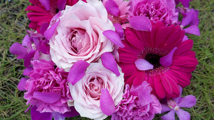 ピンクの花たち