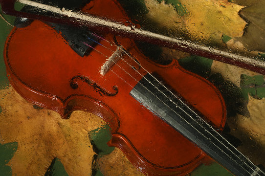 Violin and autumn leaves