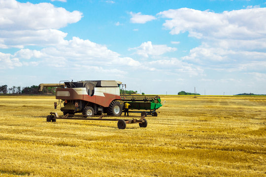 Kombain collects on the wheat crop. Agricultural machinery in the field. Grain harvest.