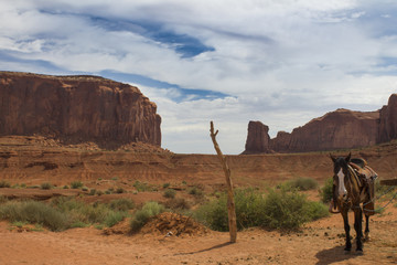 cavallo monument valley