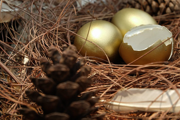 Golden Eggs in nest