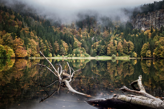 Lake in the Black Forest During Autumn