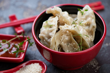 Red bowl with steamed gyoza topped with sesame seeds, selective focus, horizontal shot