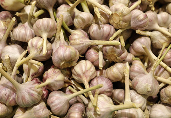 white garlic stacked in a local market