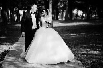 Amazing young gorgeous newly married couple taking a walk in the park on their wedding day. Black and white photo.