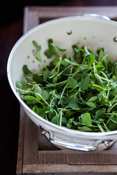 Pea shots in a colander