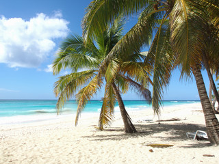 Fototapeta na wymiar tropical island beach with palmtrees