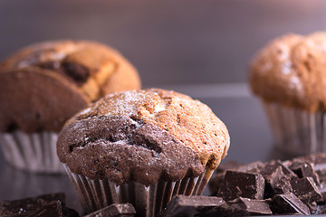 Muffin with pieces of dark chocolate