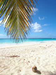 Fototapeta na wymiar tropical island beach