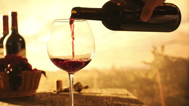 Wine tasting in the vineyard