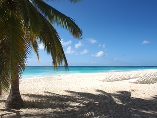 Obraz na płótnie Canvas tropical island beach