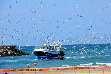 Retour de pêche à Trouville
