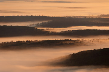 Fototapeta na wymiar Morning view of the misty valley