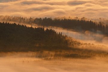 Morning view of the misty valley