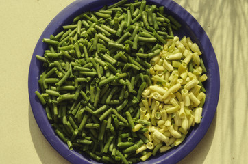 freshly cut yellow and green beans from summer garden in backet