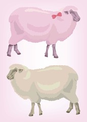 two sheep. pink and beige. animal husbandry