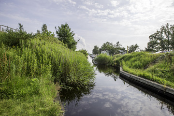 Moorgraben zum Radelsee bei Markgrafenheide