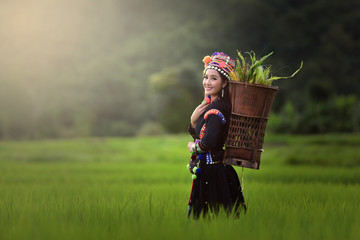 The hill tribe woman walks in the rice paddies.