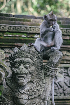 Monkey on top of asian statue, Bali, Indonesia