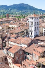 Fototapeta na wymiar Lucca, veduta dall'alto