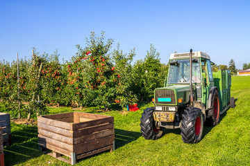 Apfelernte im Thurgau  © Sina Ettmer