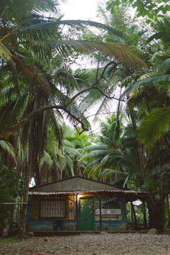 Beach shack in palm forrest