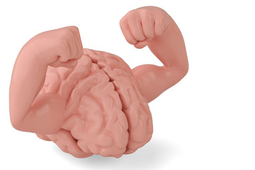Fototapeta na wymiar Brain and muscle strong brain 3D illustration