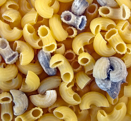 Background from pasta with mold