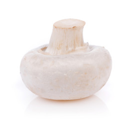 white Mushroom champignon isolated on white background