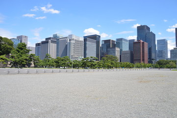 Fototapeta na wymiar View On Tokyo Skyline From The Imperial Palace