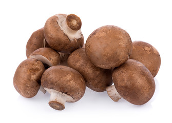 Mushroom champignon isolated on white background