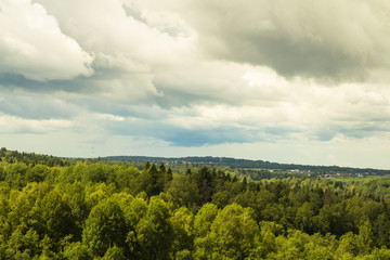 Summer landscape. Field, forest and sky. Landscape of the Russian remote places.
