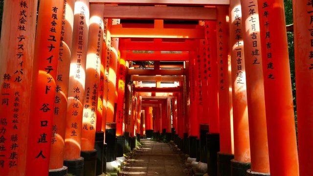 Japan at Fushimi Inari Shrine's fame torii gates