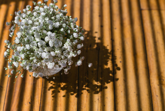 A pot of white flowers