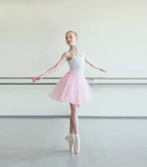 Cute little ballerina in pink ballet costume and pointe shoes is dancing in the room. Kid in dance...