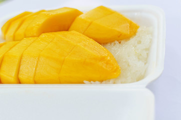 mango on sticky rice, Thai dessert