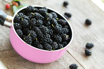 berries black mulberry