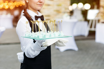 Catering service. Waiter carrying a tray of appetizers. Outdoor party with finger food, sweets.
