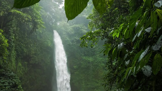 Tropical waterfall hidden in lush jungle green. Green leaves motion by the wind breeze. High humidity