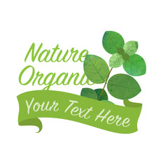 Colorful watercolor texture vector nature organic vegetable banner oregano