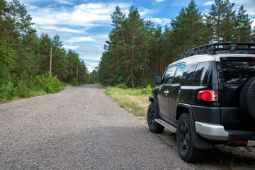 Fototapeta na wymiar Car in the forest road