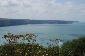normandie falaise Etretat