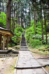 羽黒山　出羽神社の参道