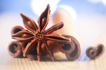 Anise star and cinnamon sticks with Christmas blurred background.