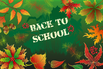 back to school background with autumn leaves