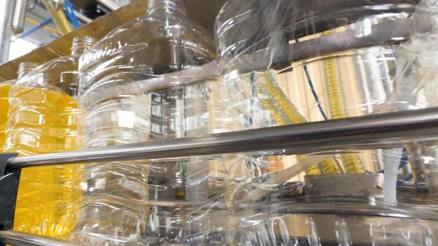 Soap plant, bottles being filled close up.