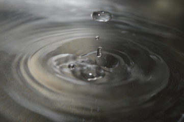 Goutte grise
