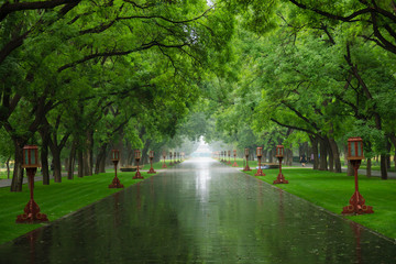 Long, green alley in Temple of Heaven Park in Beijing