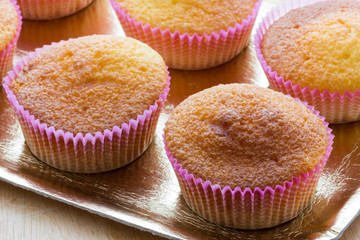 Sweet donuts with icing sugar