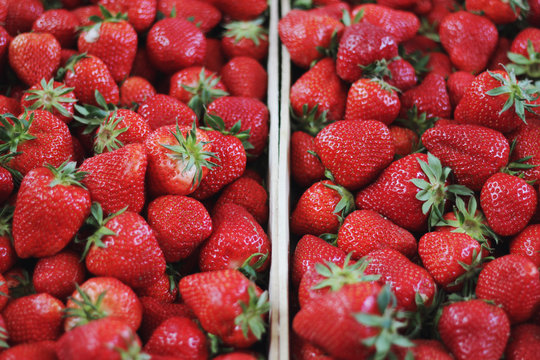 Fresh strawberries